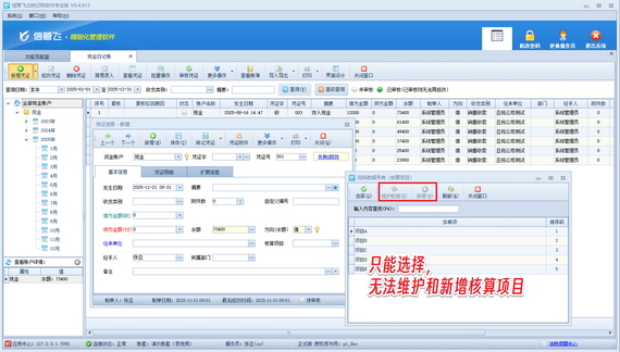 信管飞出纳记账软件：解锁高效财务新密码